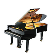 Estonia piano model 225
