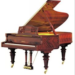 Bluthner piano art case